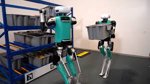 RoboHorizon