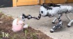 RoboHorizon Magazine - AI you can touch